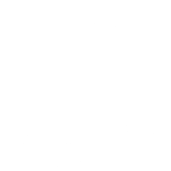 StreetPanda